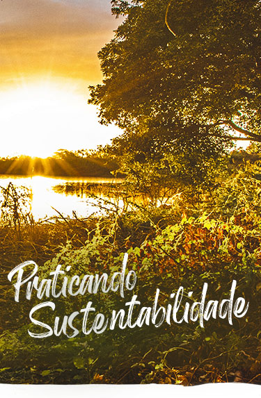 Banner Sustentabilidade