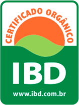 Ibd