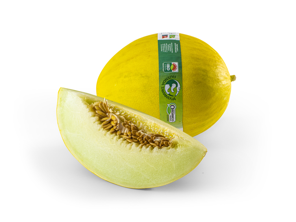 MELON JAUNE D`ESPAGNE stock photo. Image of fruit, melon - 171233624